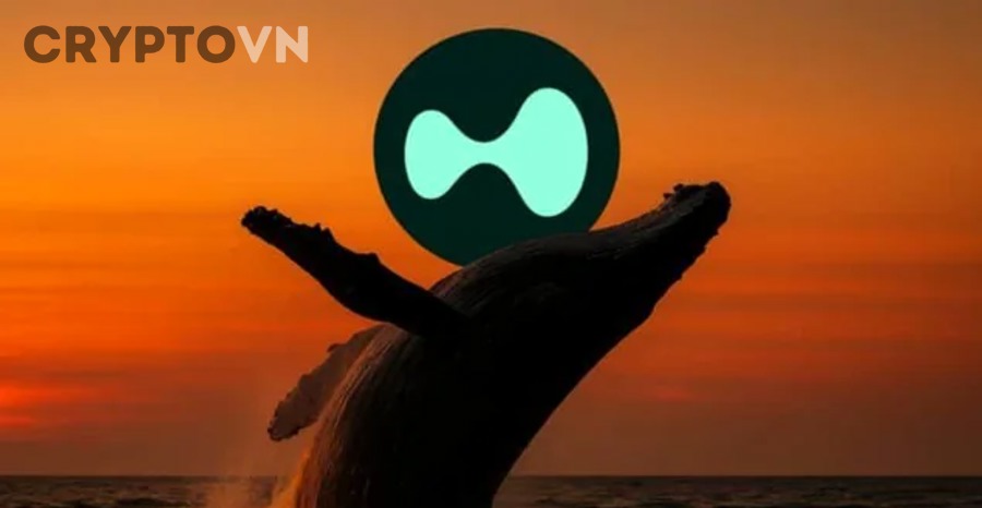 Theo dõi giao dịch whale Bitcoin và thị trường crypto
