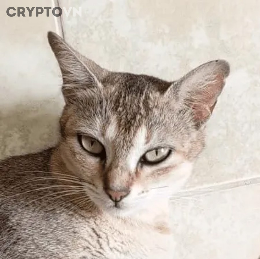 Công thức mint reward trong tokenomics AVAX