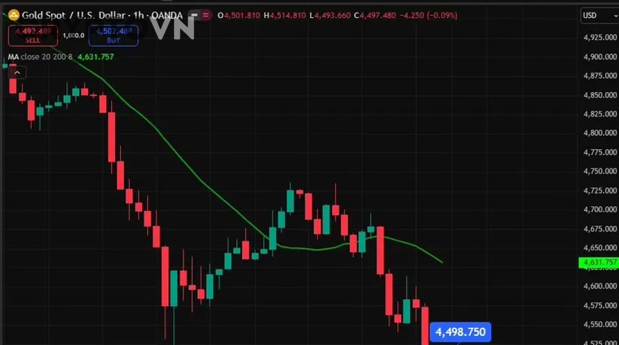 Trader quan sát chart crypto và đối mặt với FOMO sợ hãi tham lam