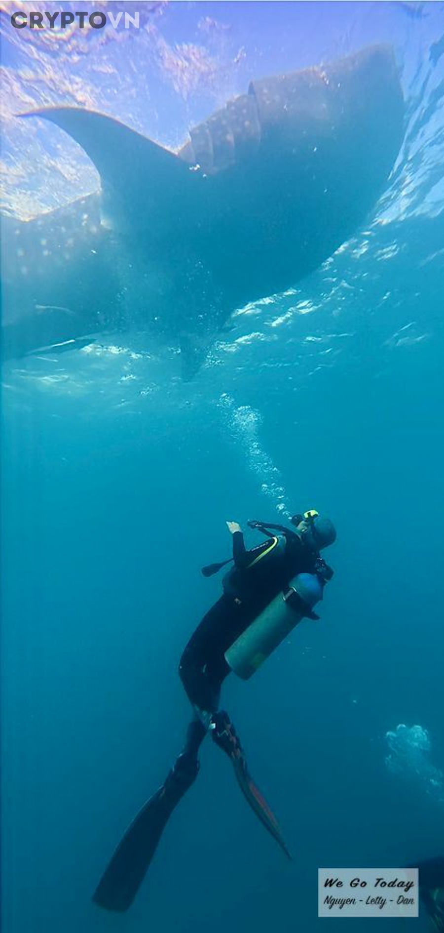 Những công cụ và tín hiệu nâng cao nào giúp theo dõi whale xả hiệu quả hơn?