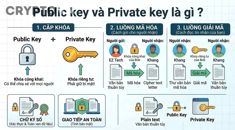 Có Nên Nhập Private Key Vào App Không? Cách Phân Biệt Ví Chính Thống Và App Giả Mạo Cho Người Mới Crypto