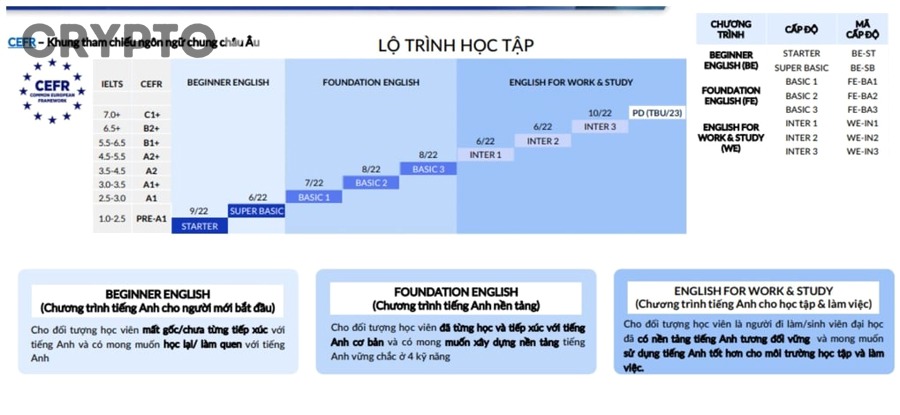 Người Mới Nên Học TA Crypto Theo Cách Nào Để Không Bị Quá Tải?