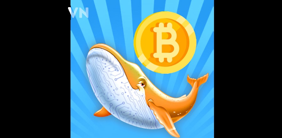 Kết luận nào đúng nhất về giới hạn của dữ liệu whale đối với nhà đầu tư crypto?