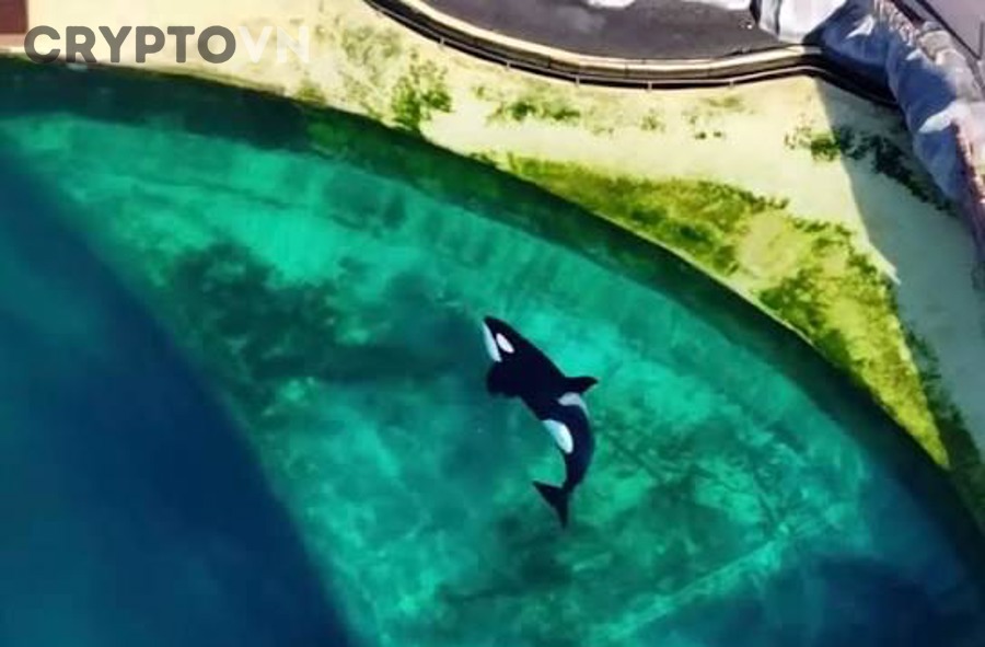 Biểu tượng Bitcoin trong bối cảnh thị trường crypto