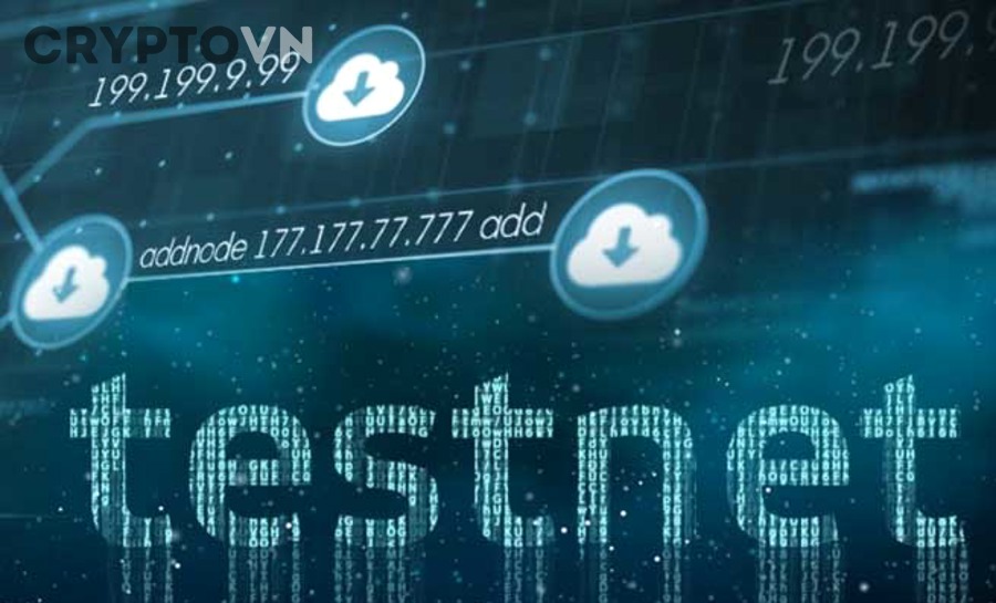 Ai nên dùng testnet và khi nào nên dùng?
