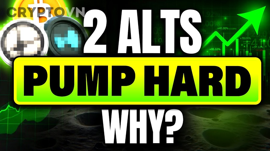 Những Dấu Hiệu Nào Cho Thấy Một Altcoin Đang Bị Pump & Dump?