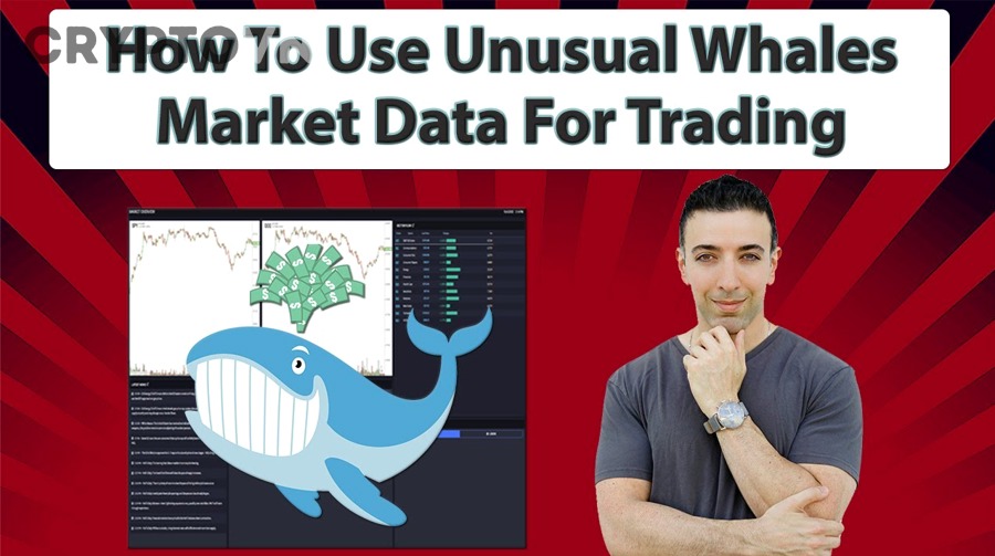 Phân tích whale data kết hợp market structure trong giao dịch crypto