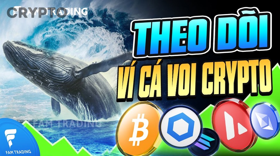 Những dấu hiệu nào cho thấy whale đang gom một coin cụ thể?
