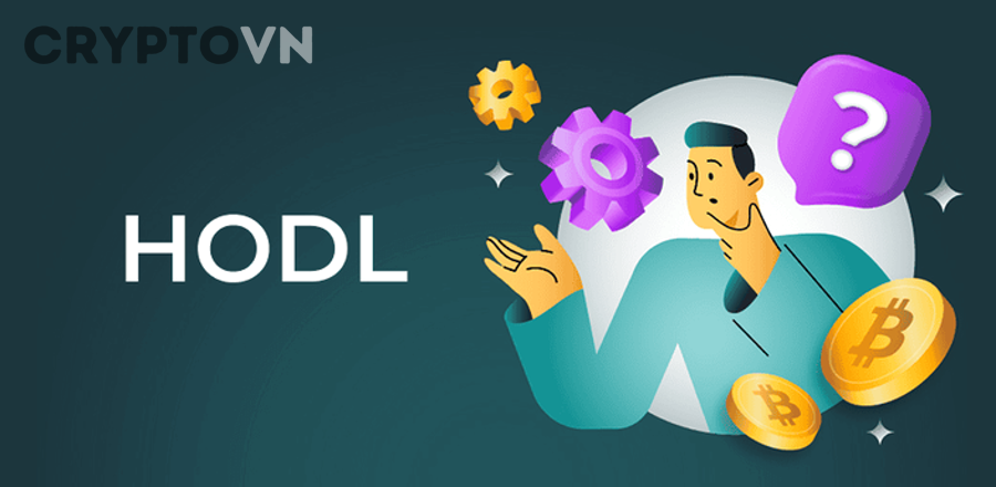 Giải Thích HODL Là Gì Trong Crypto Và Khi Nào Nên Nắm Giữ Dài Hạn Cho Người Mới