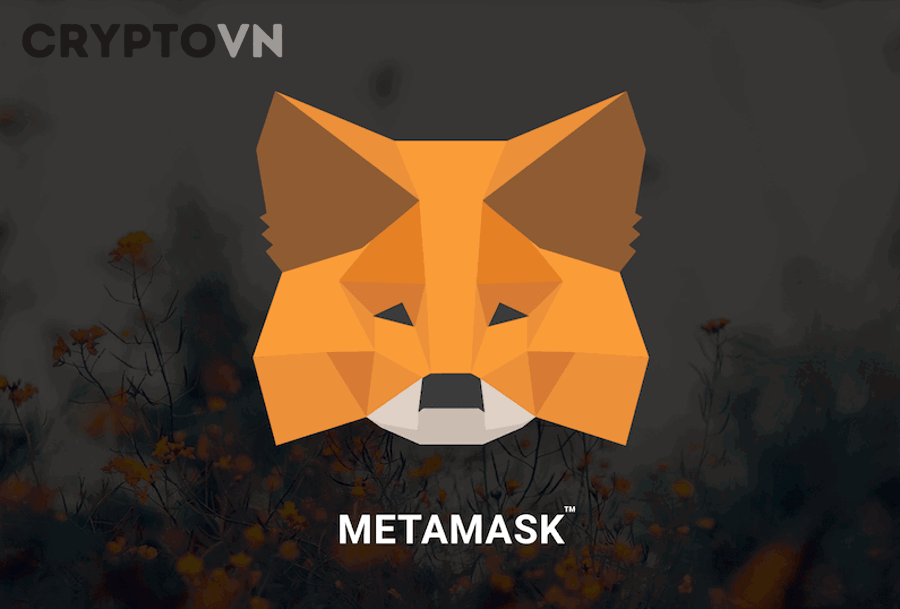 MetaMask hỗ trợ những mạng blockchain nào và dùng trong trường hợp nào?