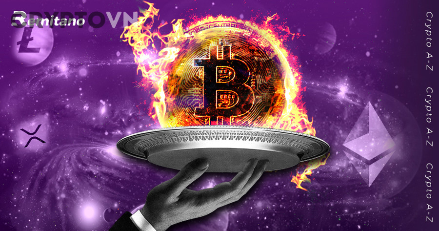 Công cụ và chỉ số nâng cao giúp nhà đầu tư đánh giá altcoin chuyên sâu hơn