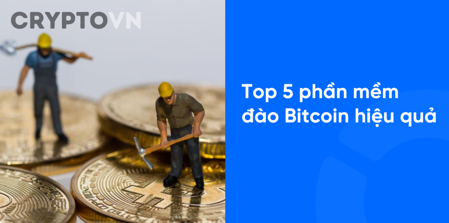 Phần mềm đào coin nào phù hợp nhất với từng nhóm người mới?