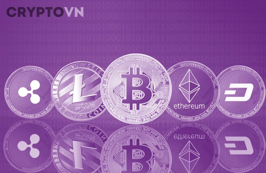 Phân bổ vốn khi mua nhiều coin trong danh mục crypto cho người mới