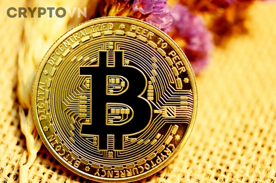 Biểu đồ phân tích tương quan giữa Ethereum và Bitcoin với các chỉ số on-chain