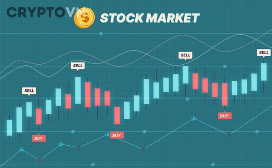 Chiến lược DCA trước bull run trong thị trường crypto