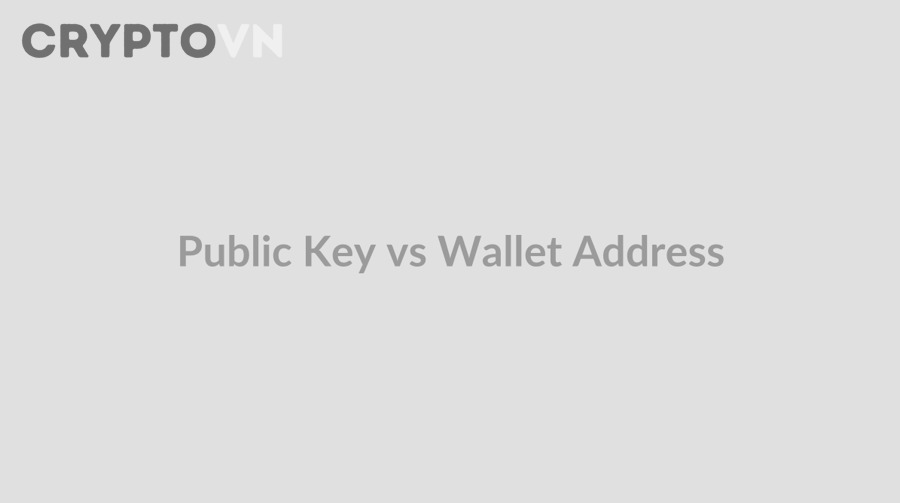 Phân Biệt Public Key và Địa Chỉ Ví Khác Gì: Hai Khái Niệm Gần Nghĩa Nhưng Không Giống Nhau Cho Người Mới Crypto