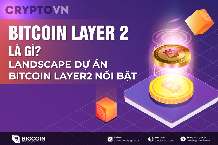 Optimism và lựa chọn Layer 2 phù hợp cho người mới