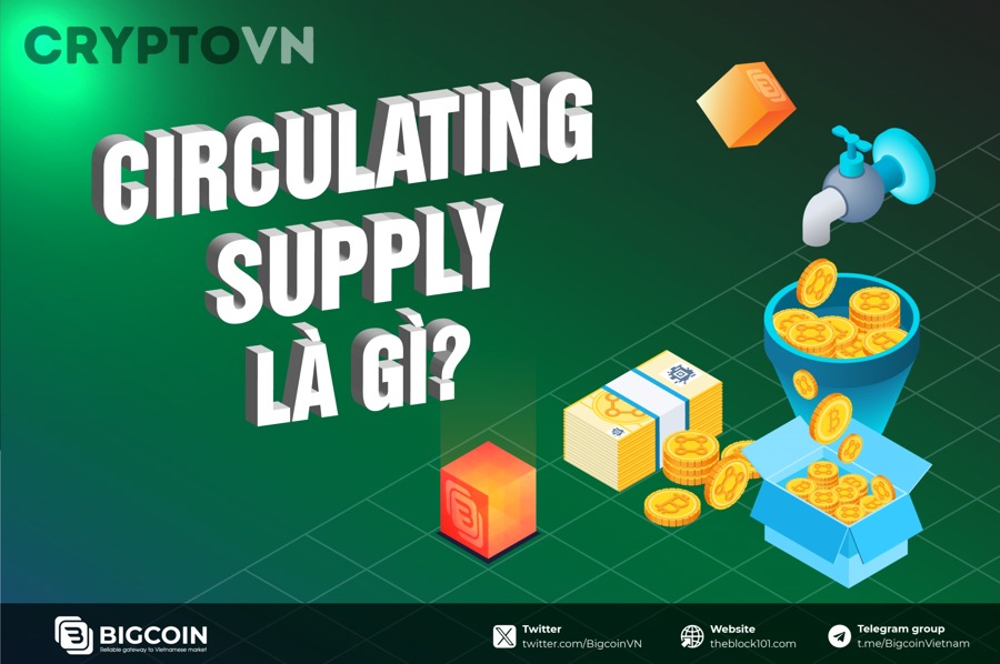 Biểu đồ tokenomics và nguồn cung lưu hành sau burn trong thị trường crypto