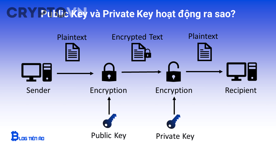 Private Key dùng để làm gì trong ví crypto?