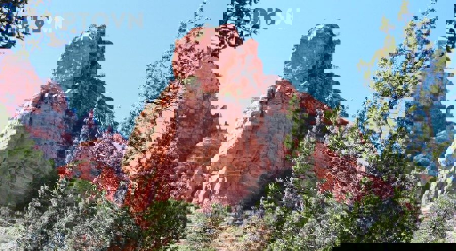 Quản lý vốn và bảo vệ tài khoản trong bear market crypto