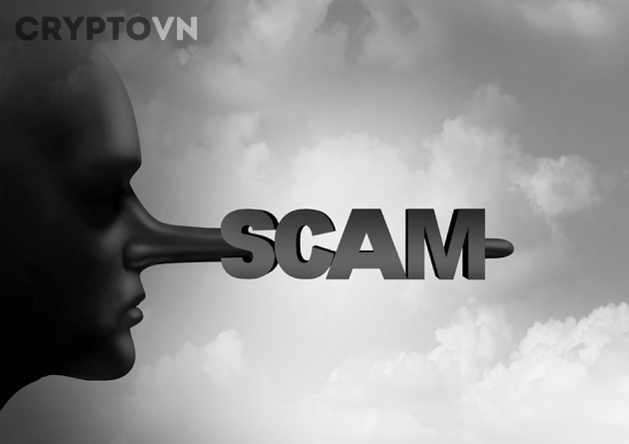 Nhận Biết Dấu Hiệu ICO Scam Qua Whitepaper, Đội Ngũ Và Roadmap Cho Nhà Đầu Tư Crypto Mới