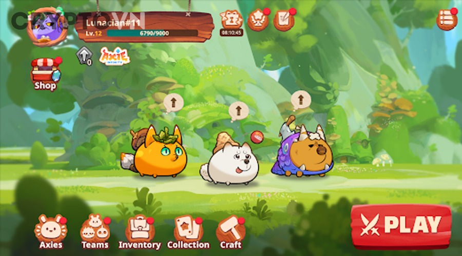 Axie Infinity phù hợp với ai và người mới cần lưu ý điều gì?