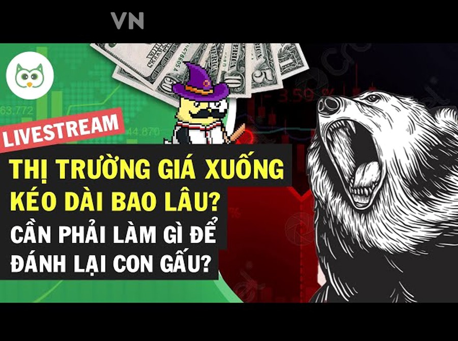 Phân bổ tài sản và quản lý vốn trong bear market crypto kéo dài