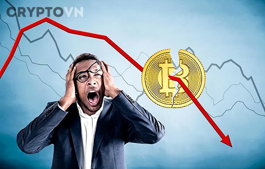 Chu Kỳ Thị Trường Crypto Là Gì và Tại Sao Nó Quyết Định Altcoin Nào Nên Mua?