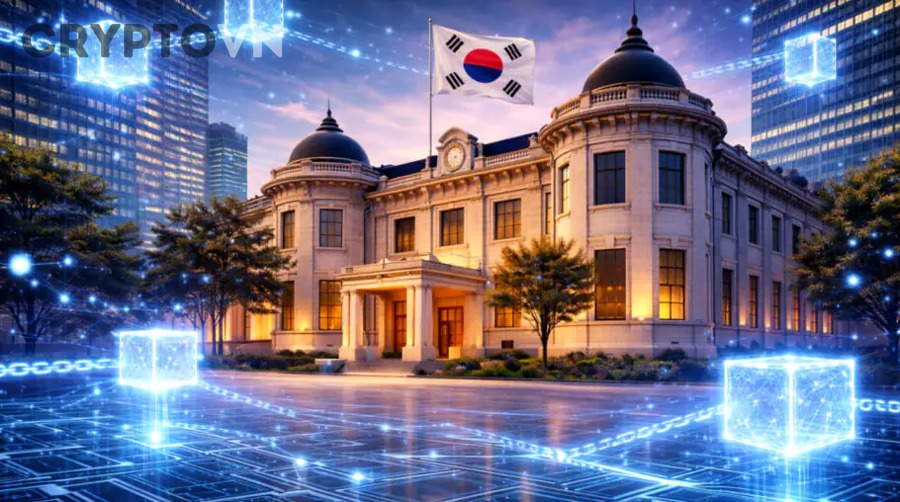 Sau khi mua stablecoin, người mới nên lưu trữ và sử dụng như thế nào cho hiệu quả?