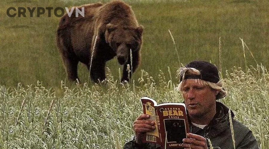 Biểu đồ giá crypto giảm mạnh trong bear market