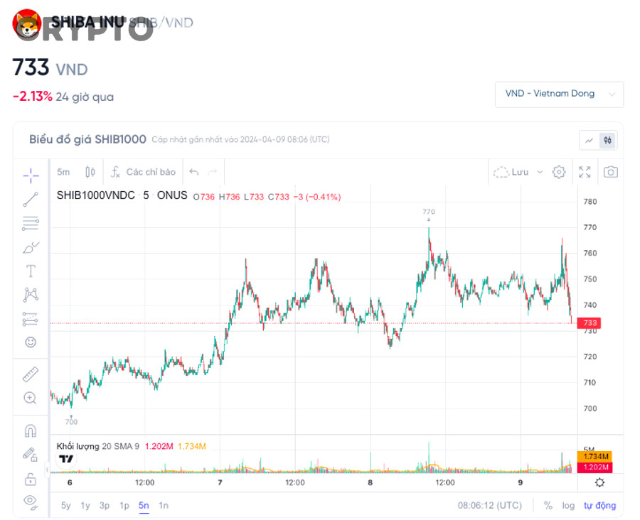 Nhà đầu tư crypto quan sát biểu đồ và nhận diện sai lầm khi trade spot