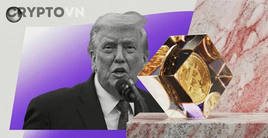 Người mới nên chọn ví nóng hay ví lạnh trước khi tạo ví crypto?