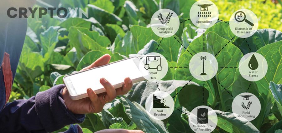 Các Mô Hình Triển Khai Blockchain Trong Dược Phẩm Tại Việt Nam Và Thế Giới