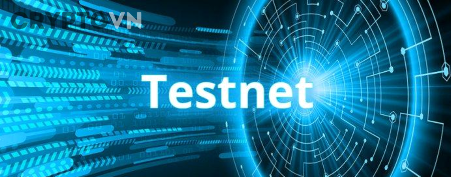 Người dùng kiểm tra bảo mật ví và thao tác testnet trong crypto