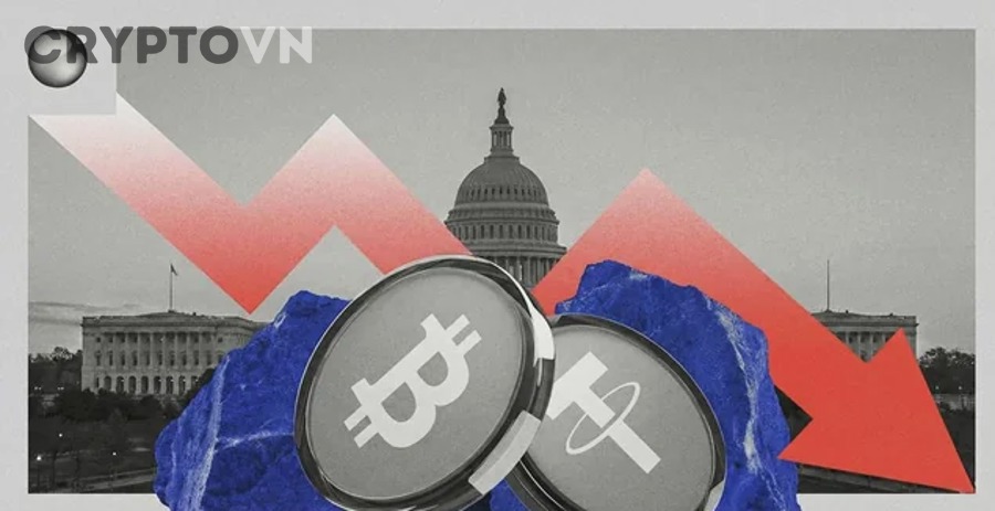Có Những Loại Rug Pull Altcoin Nào?