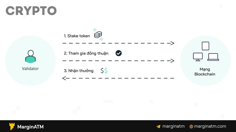 Hiểu Rõ Rủi Ro Slashing Là Gì Khi Staking Crypto Cho Người Mới
