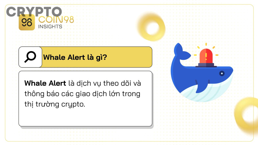 Hiểu Whale Alert là gì: Cách theo dõi giao dịch cá voi crypto cho người mới