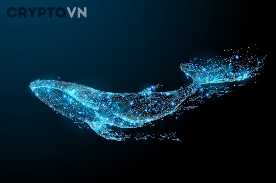 Công cụ theo dõi ví lớn và dòng tiền crypto