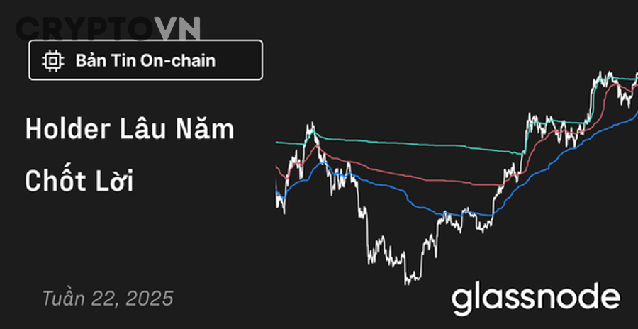 Biểu đồ dữ liệu on-chain theo chu kỳ thị trường crypto