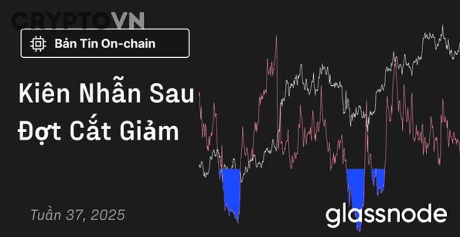 Cách kết hợp nhiều chỉ báo on-chain theo chu kỳ để tránh đọc sai thị trường là gì?