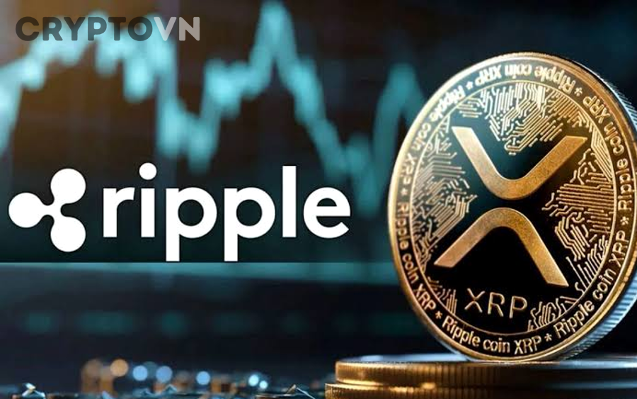 Người mới nên bắt đầu xây dựng danh mục crypto từ những yếu tố nào?