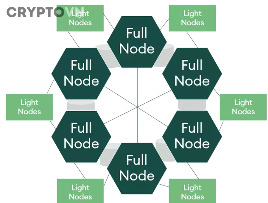 Minh họa Merkle Proof và cây băm cho light node xác minh giao dịch