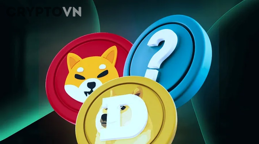 Những rủi ro nào người mới phải hiểu trước khi trade meme coin?