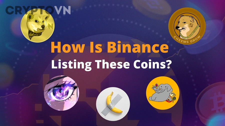 Nhận Diện Rủi Ro Meme Coin Low-Cap: Checklist Tránh Bẫy Pump & Dump Cho Nhà Đầu Tư Crypto