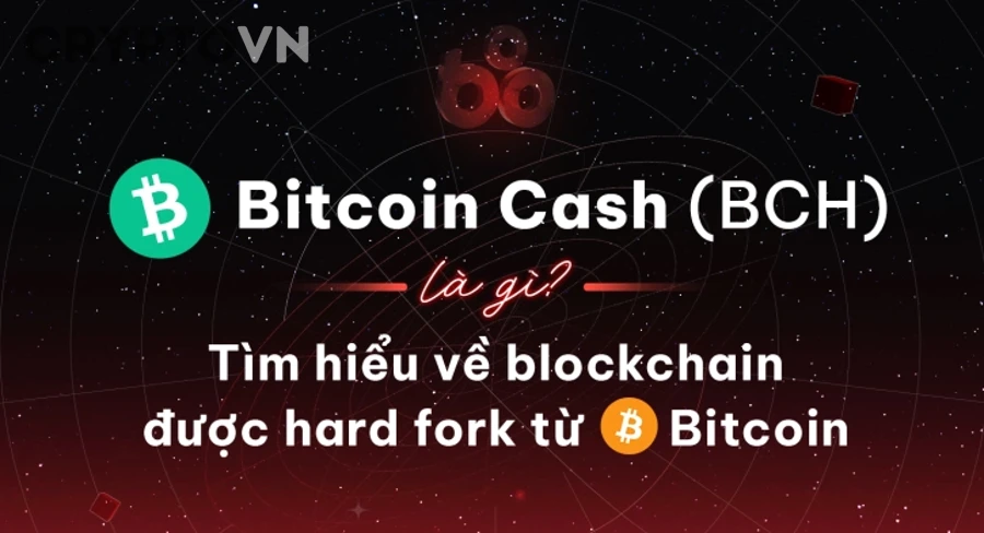 Sau fork Bitcoin, người dùng có cần làm gì để bảo vệ tài sản không?