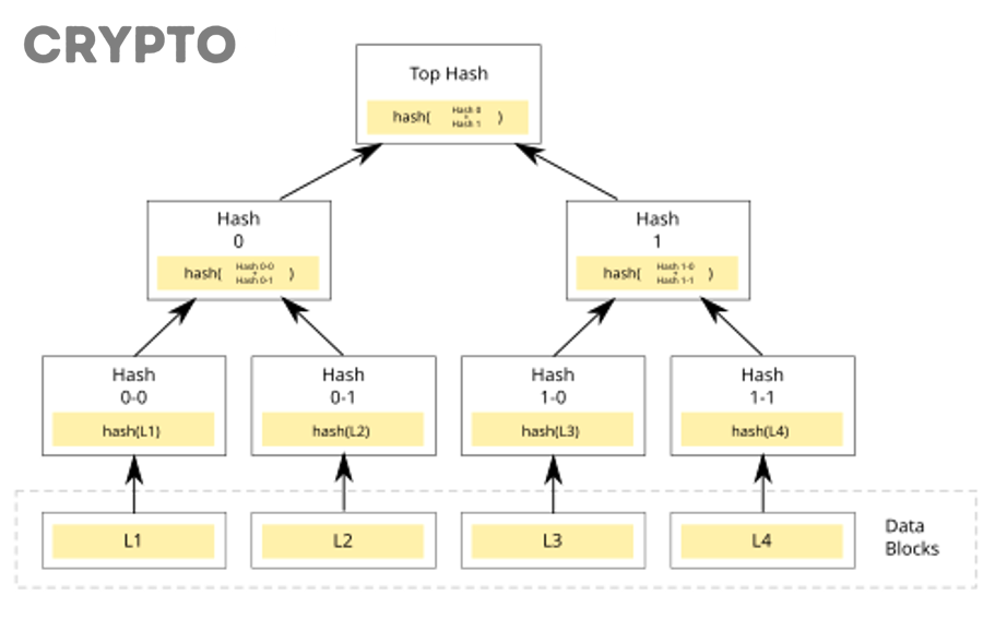Cây Merkle minh họa cách light client và SPV xác minh dữ liệu blockchain hiệu quả