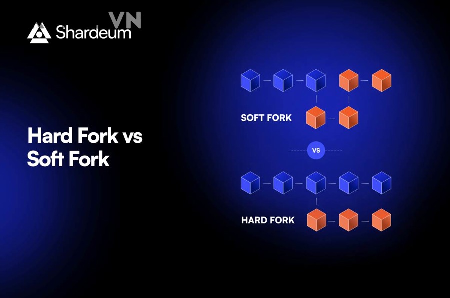 Người mới nên hiểu gì trước khi đánh giá một hard fork hay soft fork của Bitcoin?