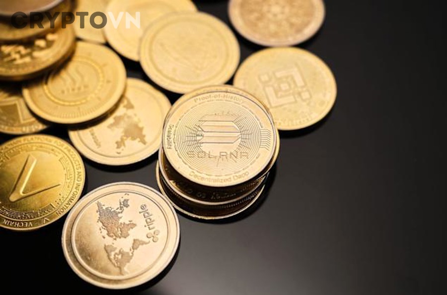 Tiêu chí chọn meme coin trên Solana và Ethereum