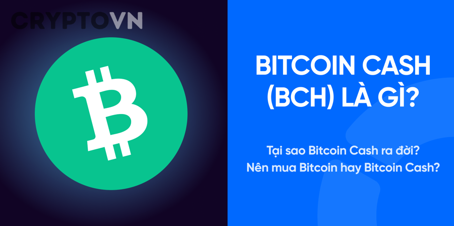 Giải thích Bitcoin Cash là gì và vì sao BCH là hard fork của Bitcoin cho người mới