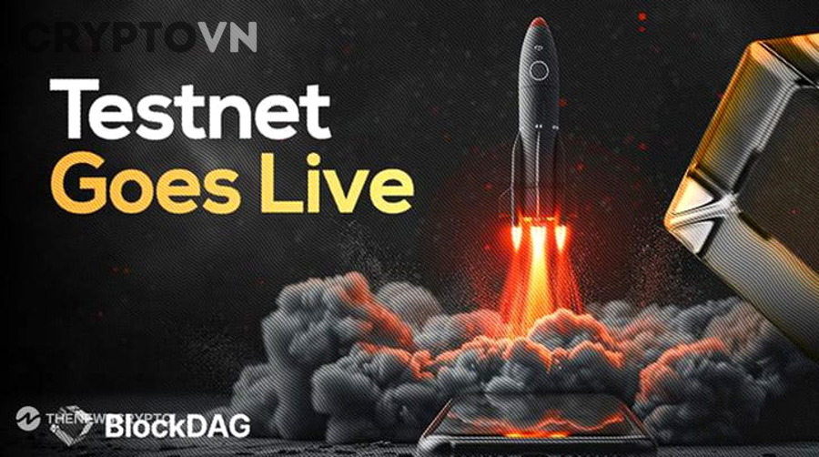 Vì Sao PEPE Coin Thường Được So Sánh Với Các Memecoin Khác Trên Thị Trường?